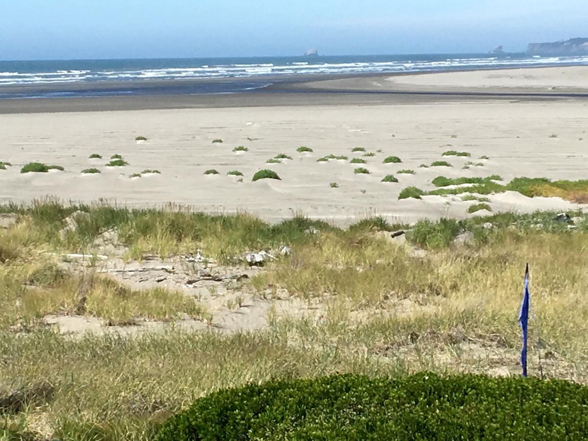 Hi-Tide Ocean Beach Resort Moclips Exterior foto